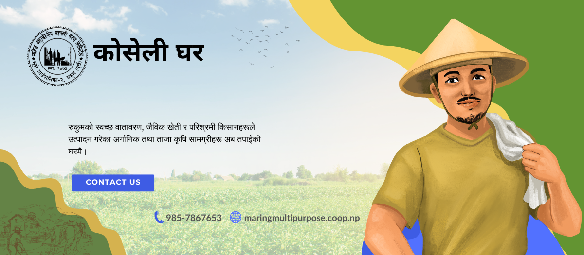 सागसब्जी